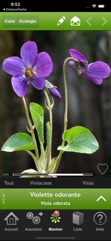 Fleurs en pocheのおすすめ画像1