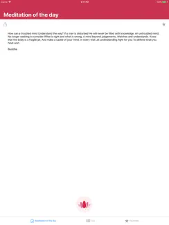 Meditation of the day iPad image 4