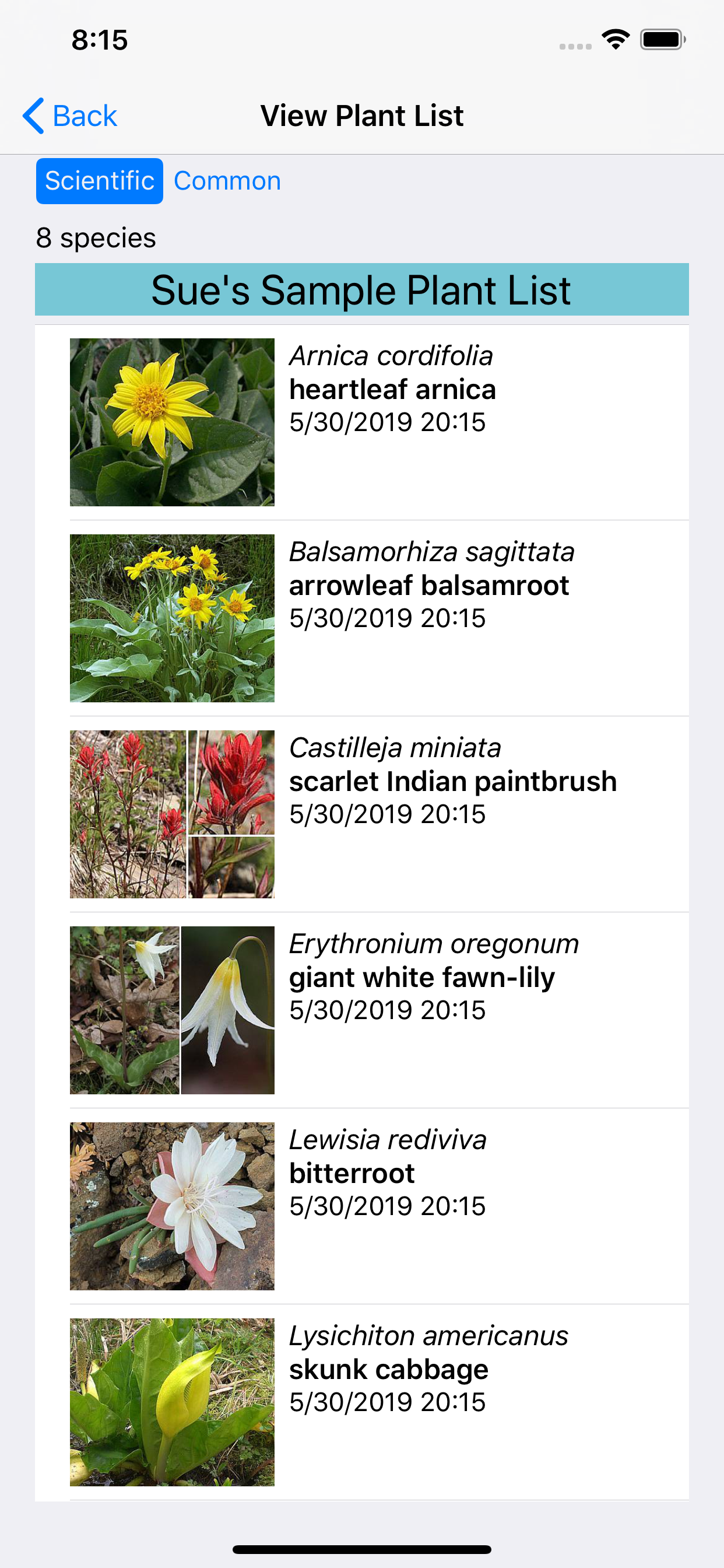 Washington Wildflower Search