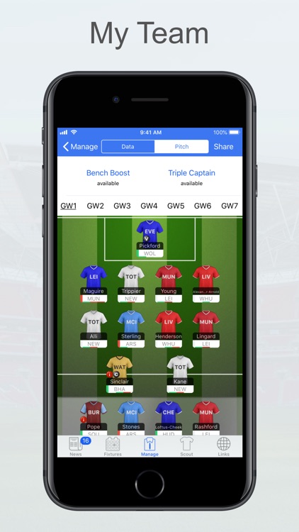 Fantasy Football Manager, Lite