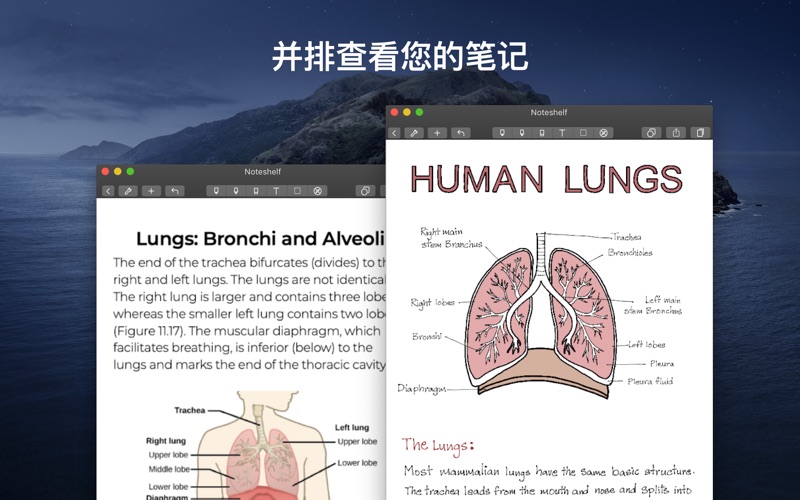 【图】Noteshelf(截图2) 【图】Noteshelf(截图2)
