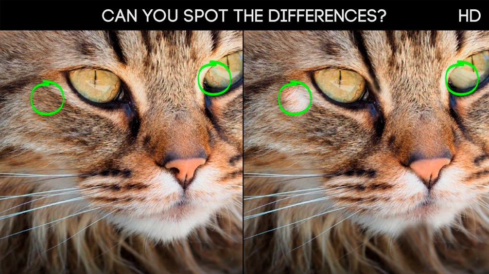 Spot the Differences 100 - 2.1 - (iOS)