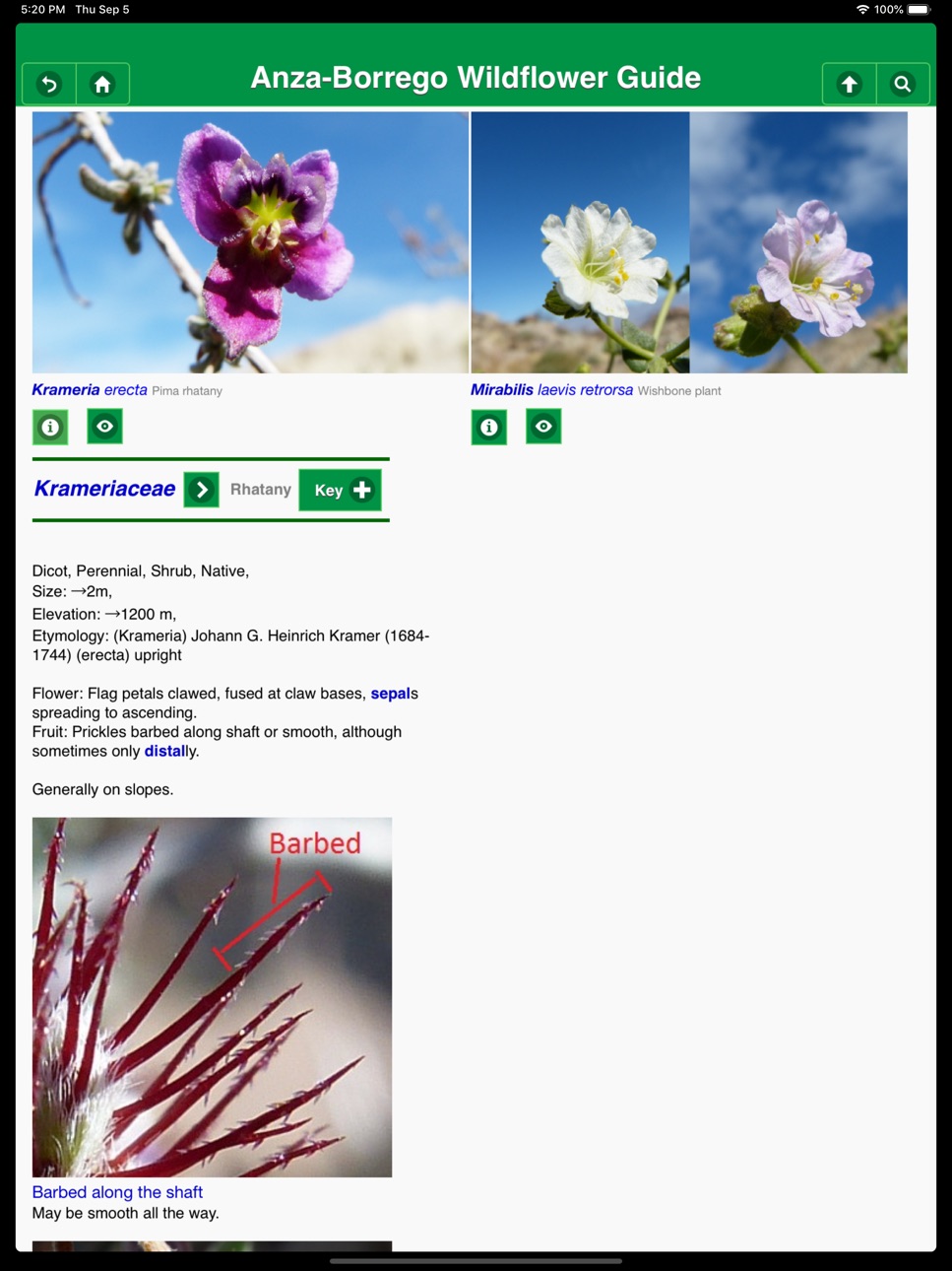 iPad screenshot