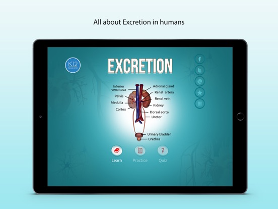 Screenshot #4 pour Excretion in Human Beings