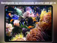 Akvarium Live HD ipad bilder 1