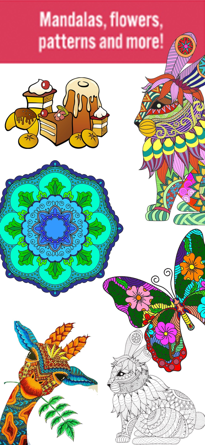 Tincture - Color by Number