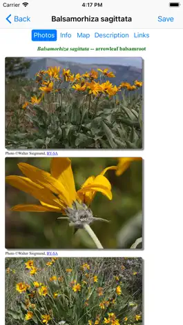 Game screenshot Central California Wildflowers hack