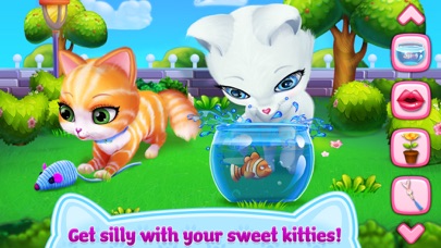 Kitty Cat Love Screenshot