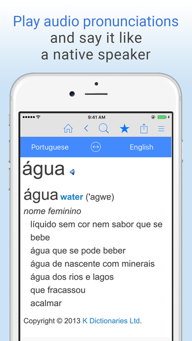 English-Portuguese Dictionary. Screenshot