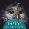 Inside the Owls Nest
