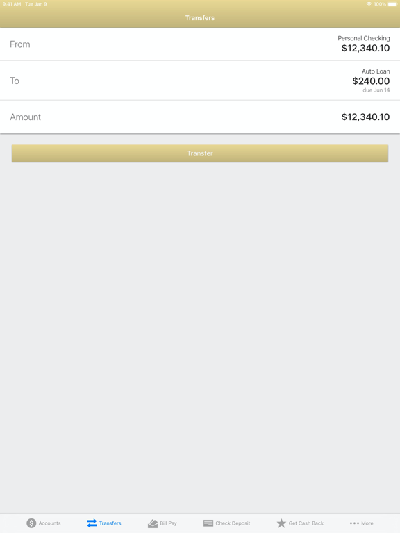 SJN Bank of Kansas iPad screenshot 4 - Finance app