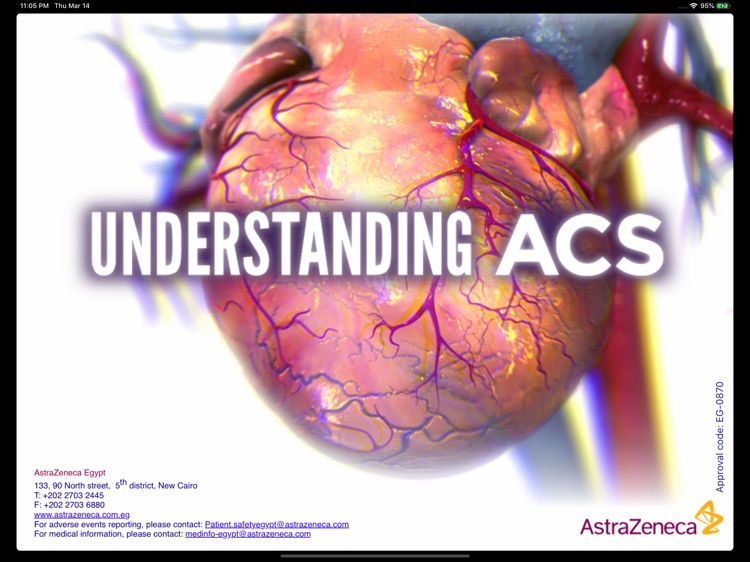 Understanding ACS - Egypt