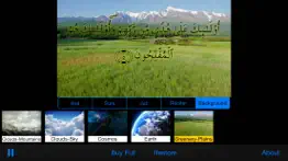 quran tv — muslims & islam iphone screenshot 3