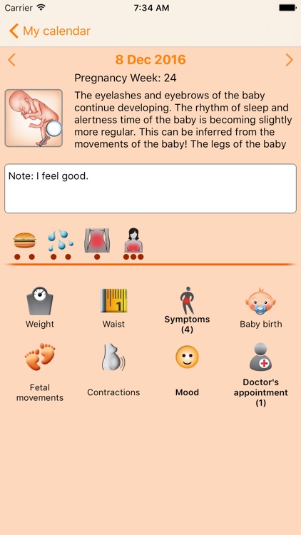 WomanLog Pregnancy Pro