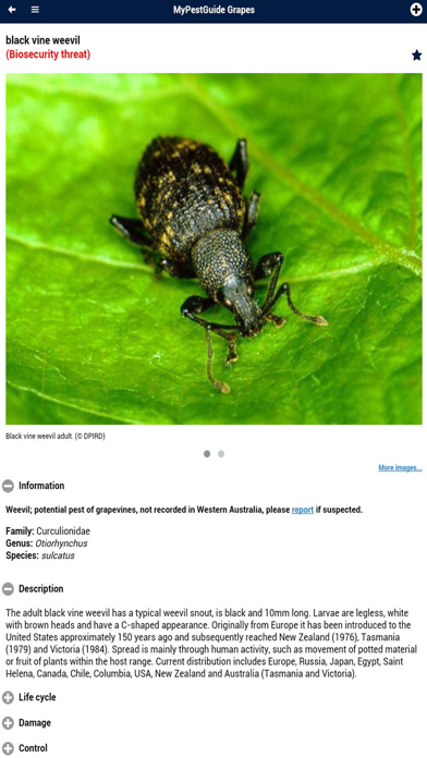 MyPestGuide Grapes Screenshot