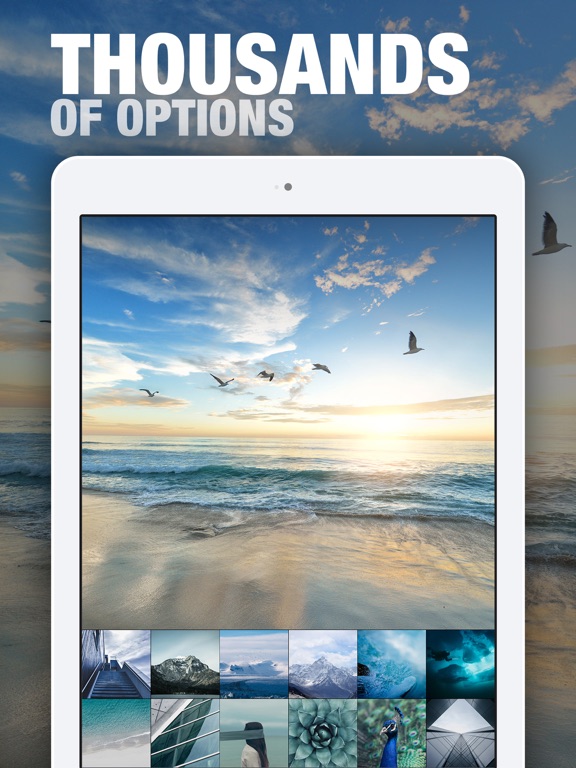 Wallpaper of the Day iPad screenshot 4 - Lifestyle app
