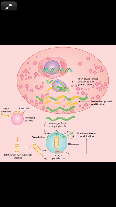 Ganong's Review Physiology 26E Screenshot