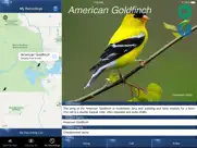 bird song id canada birdsongs ipad capturas de pantalla 4