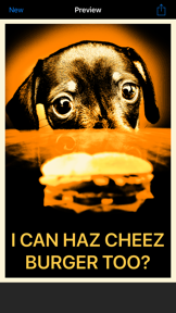 HOPE Meme Maker screenshot
