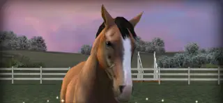 My Horse - Screenshot 1