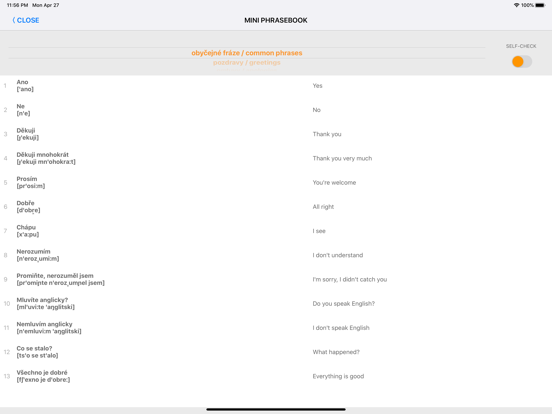 Learn Czech words with ST iPad screenshot 8 - Education app