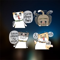 Love Cat Stickers pour PC