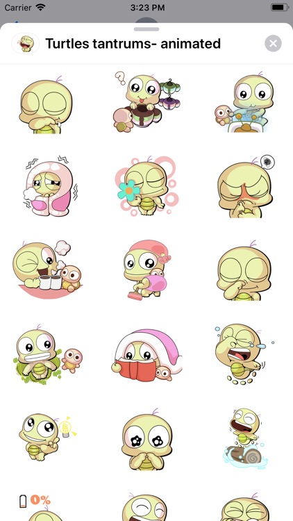 Turtles tantrums- animated