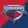 Stingrays icon