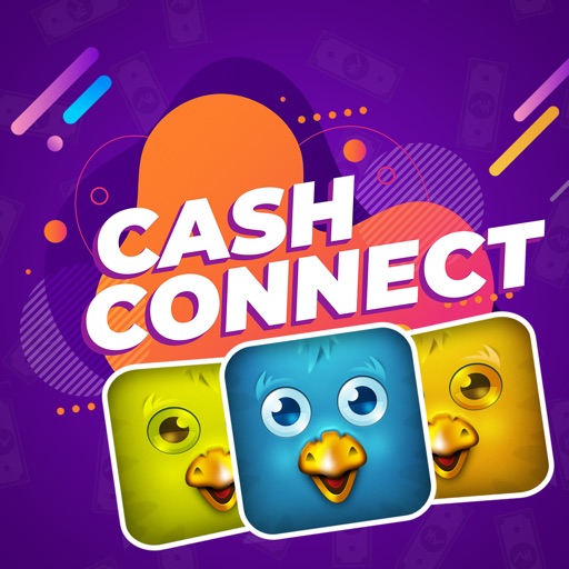 Cash Connect - Flow Birds icon