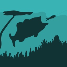 Toad Time Bass Fishing Game