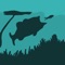 Dominate the exciting world of bass fishing tournaments with topwater toads