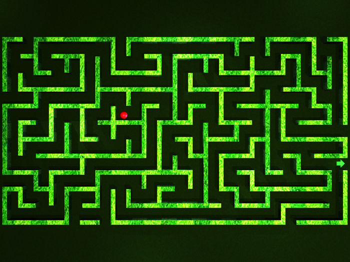 Steel Ball Maze