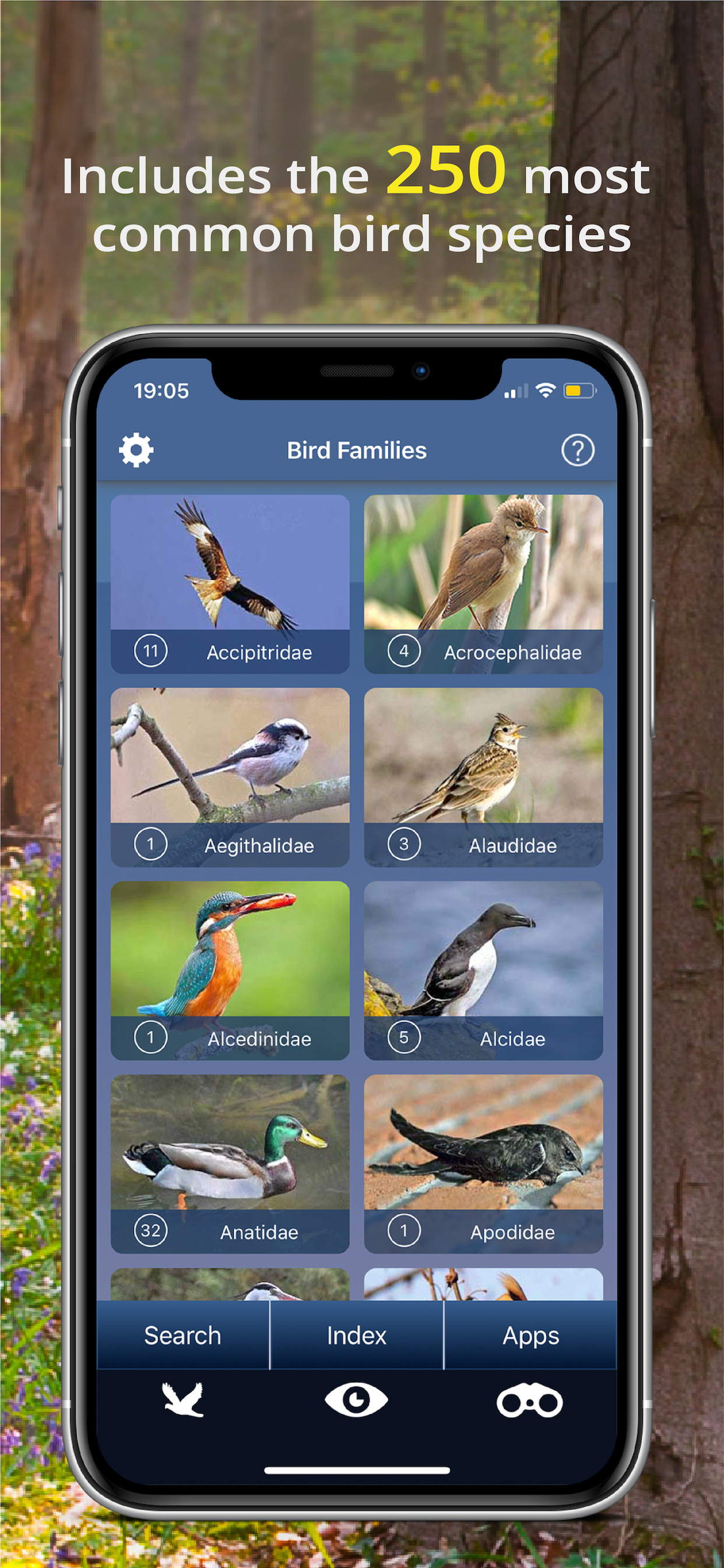 Bird Id - British Isles birds