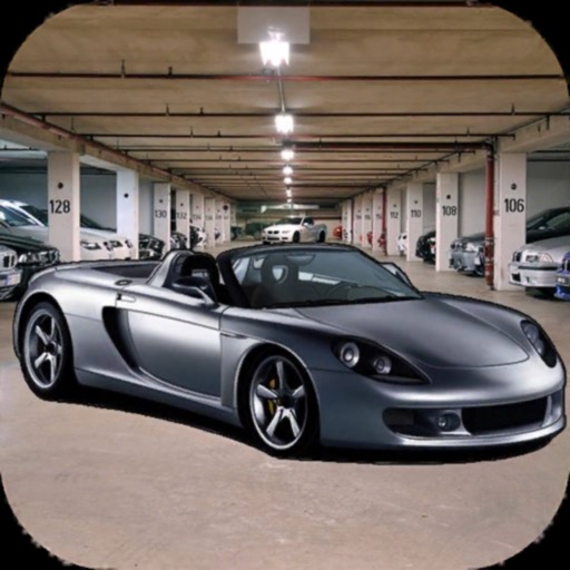 Fast Car Parking icon