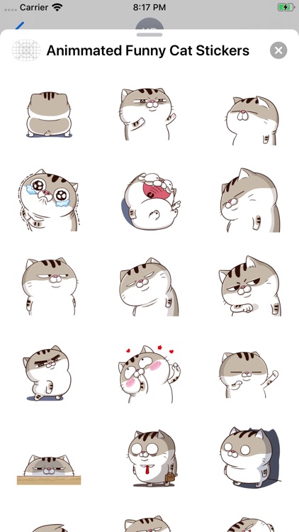 Animated Funny Cat Stickers