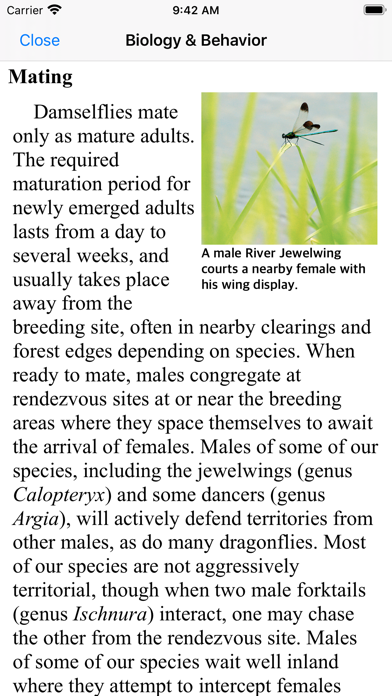 Damselflies of MN, WI, & MI Screenshot