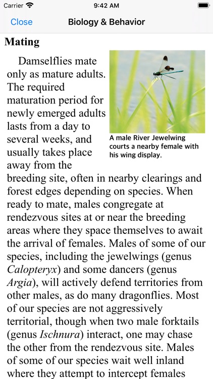 Damselflies of MN, WI, & MI screenshot-6