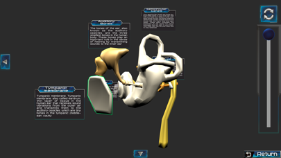 Screenshot 4 of Human anatomy system & parts App