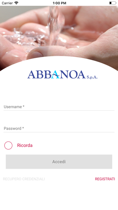 Abbanoa screenshot 2