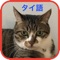 最初の画面のピッカーを回して、学びたい単語のカテゴリーを選択します。選んだカテゴリーが選択されたことがピッカーの下に表記されています。後は、”開始” ボタンを押すだけです。
