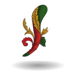 Scopa app icon