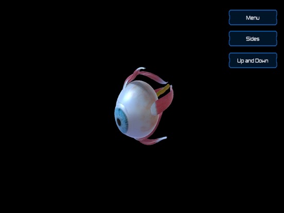 Screenshot #4 pour Anatomy Human Eye