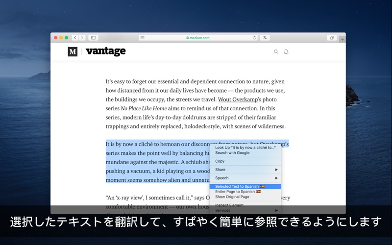 Translate for Safari screenshot1