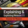 Explained Course For Reason 11