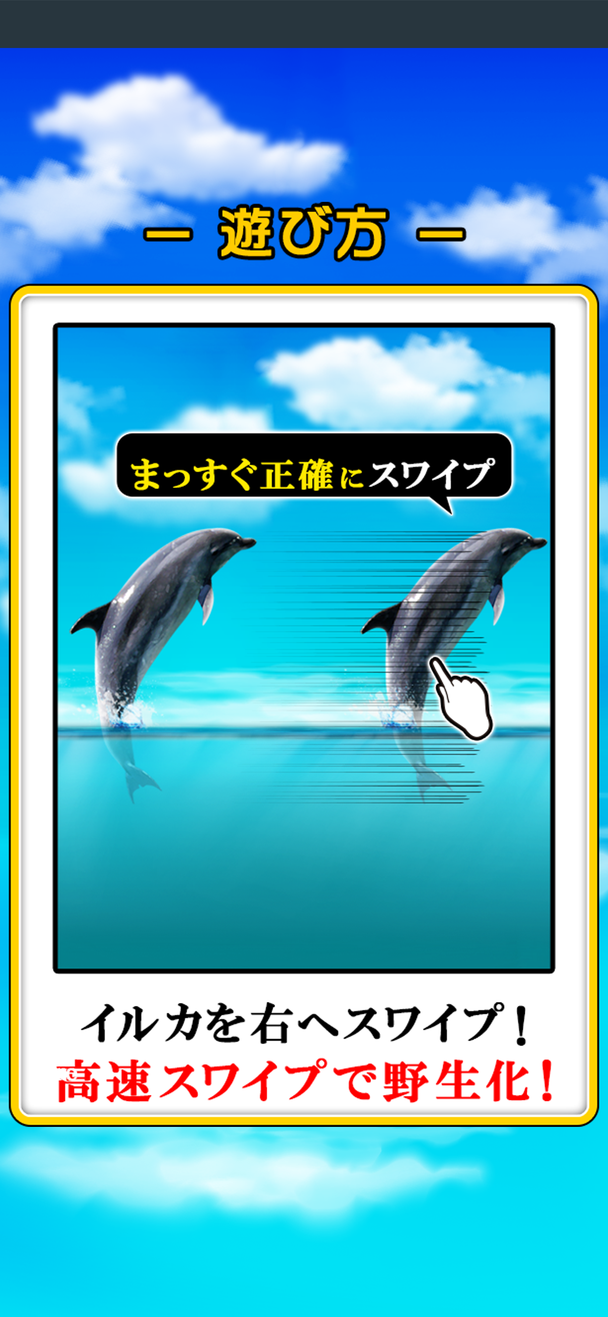 Can Dolphin Stand? screenshot 3