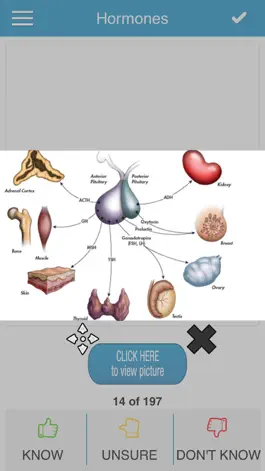 Game screenshot USMLE Bio/Physio Cram Cards hack