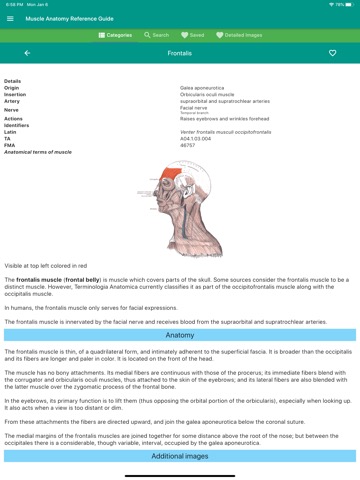 Muscle Anatomy Reference Guideのおすすめ画像4