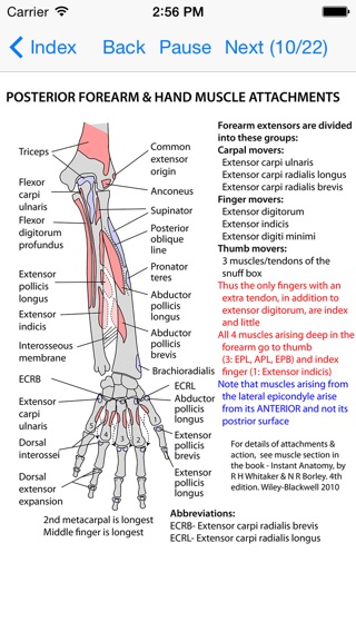 Anatomy Lectures and MCQsのおすすめ画像4