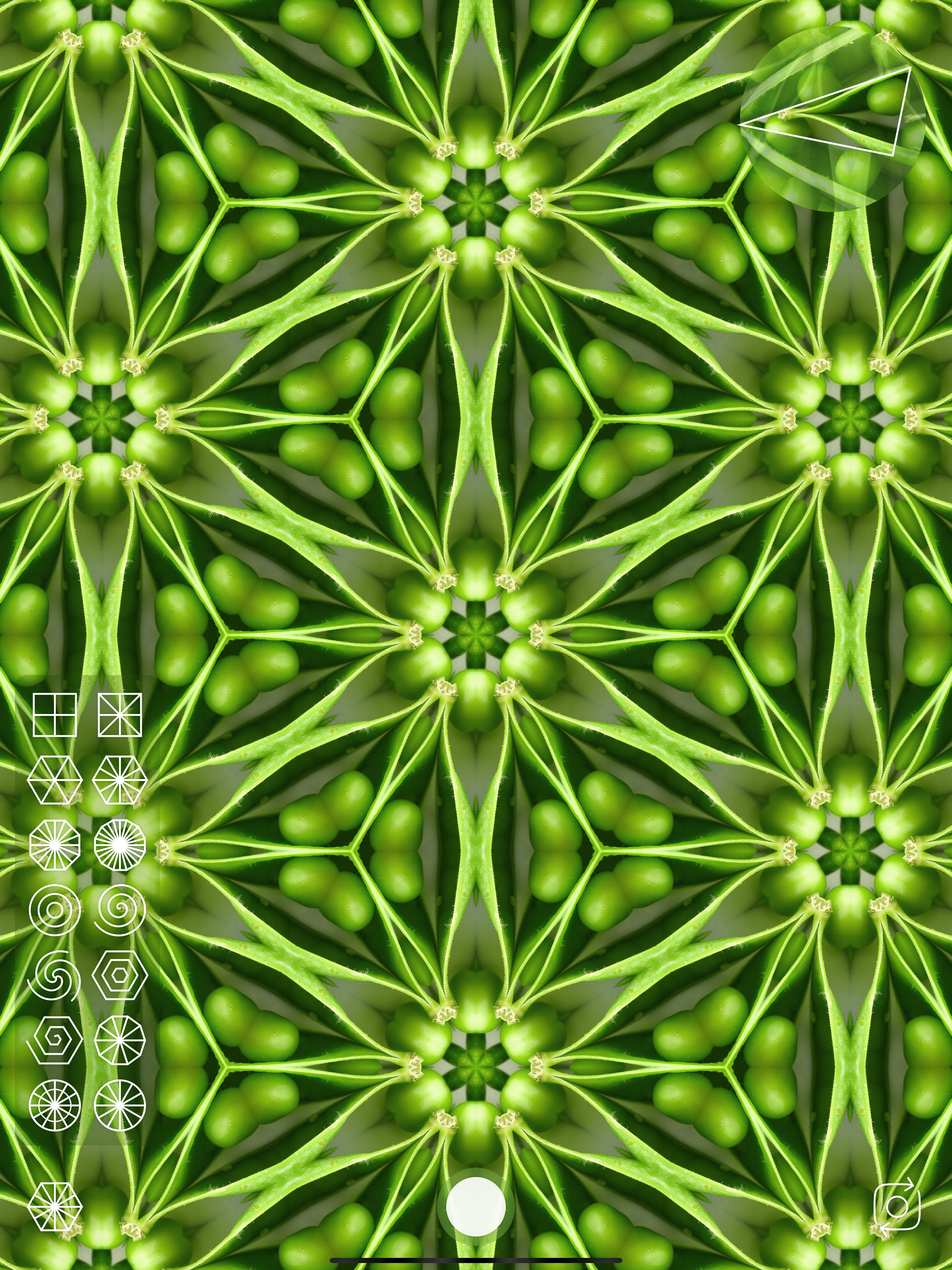 Kaleidoscope Camera
