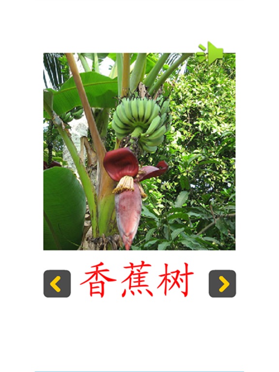 Screenshot #4 pour 认知卡认识植物